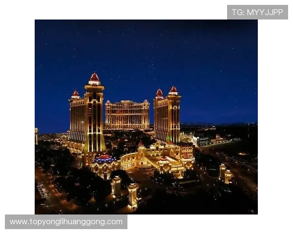 澳门东方娱乐场的数量及其在旅游业中的重要作用分析