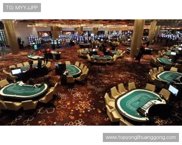 澳门十大娱乐场所排名详解，揭秘最受欢迎的赌场与娱乐休闲场所