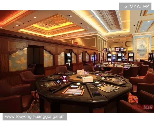金沙中国澳门的娱乐设施全攻略，带你畅享赌场、表演和休闲娱乐的极致体验